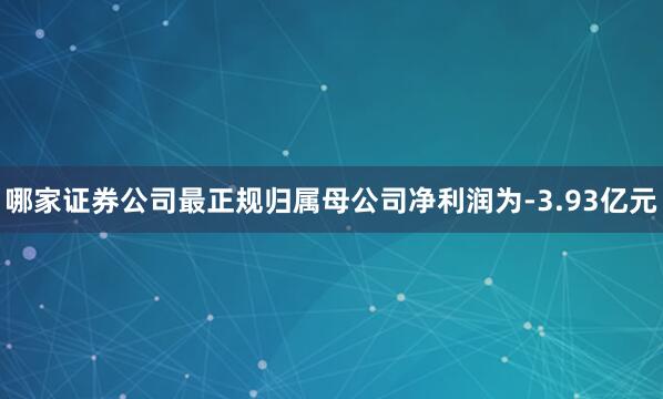 哪家证券公司最正规归属母公司净利润为-3.93亿元
