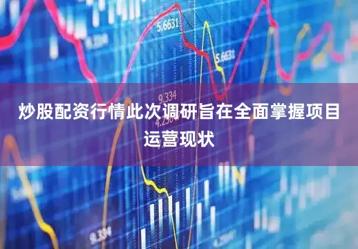 炒股配资行情此次调研旨在全面掌握项目运营现状